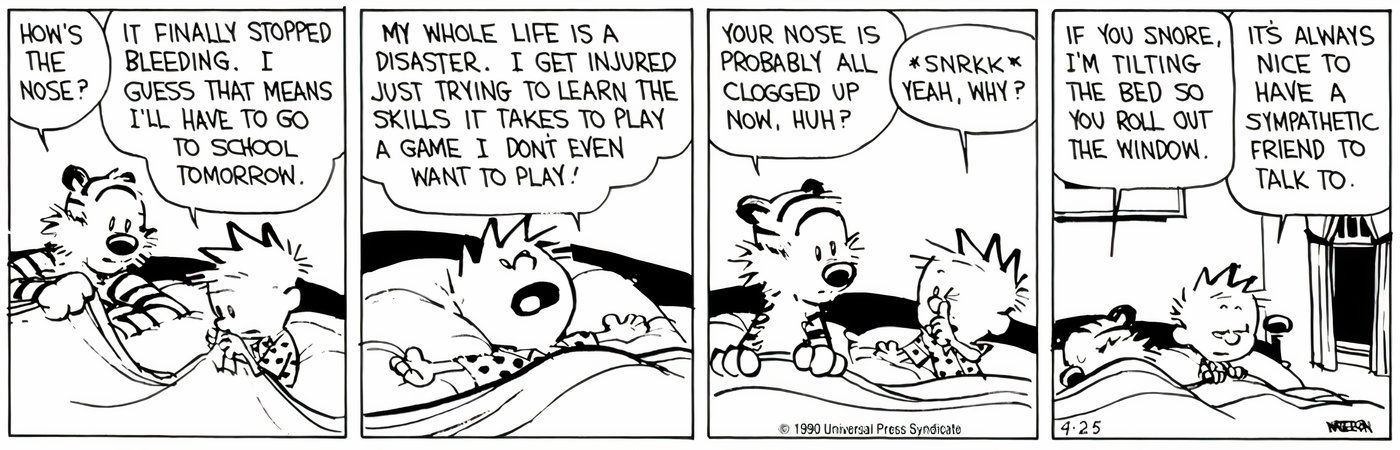 Calvin and Hobbes lying in bed together.