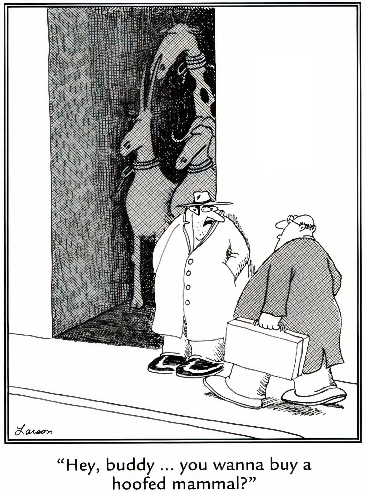 A guy in a trench coat selling animals in a dark alley in The Far Side.