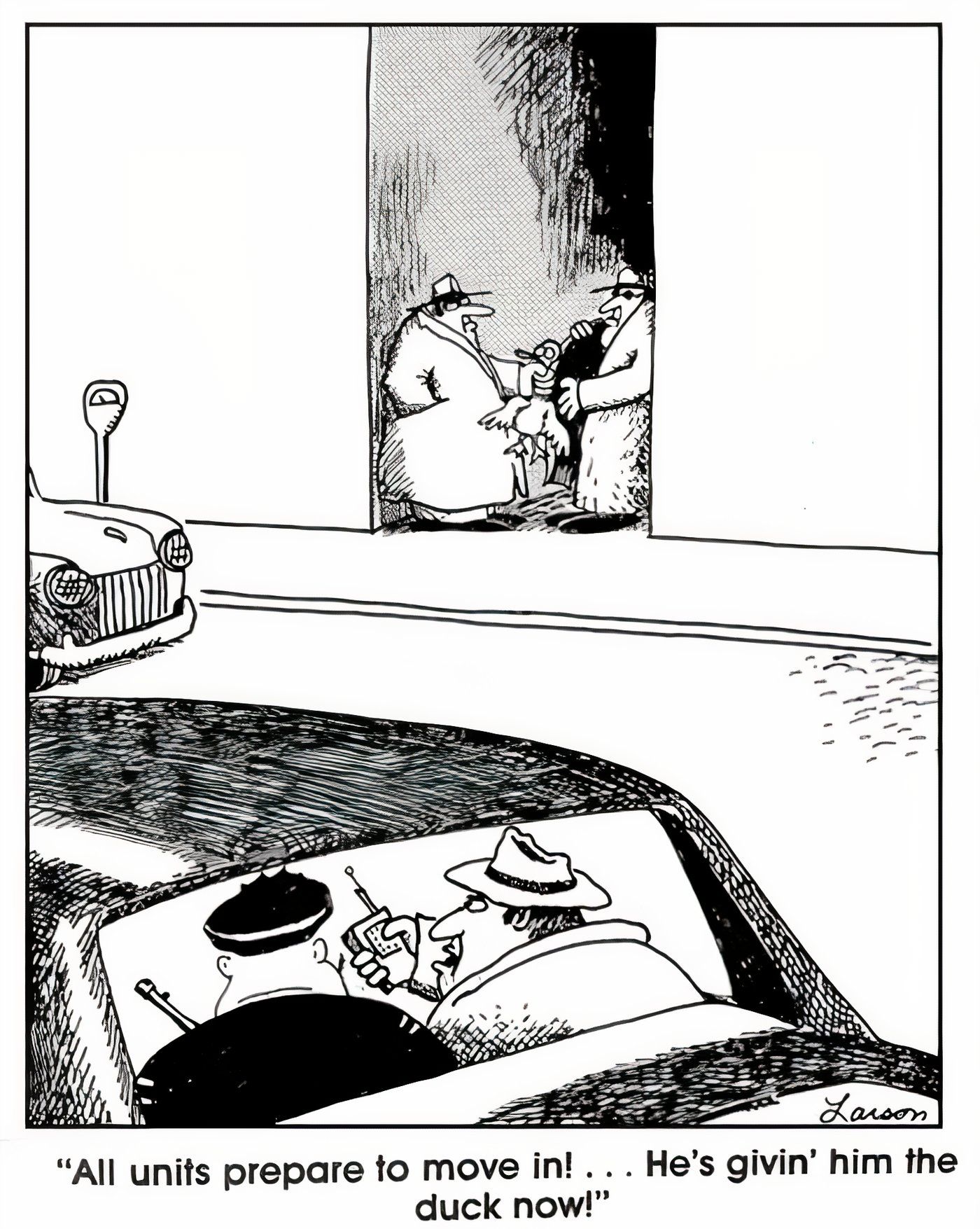 Guys dealing ducks in a dark alley in The Far Side.
