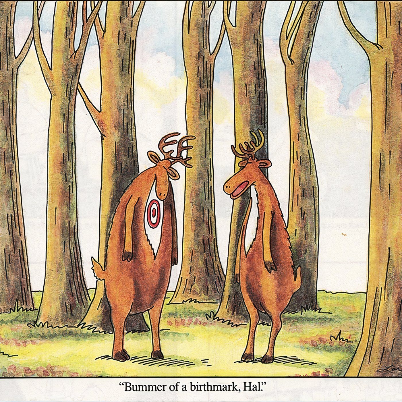 Two deer standing in the forest, one with a target on his chest in The Far Side.