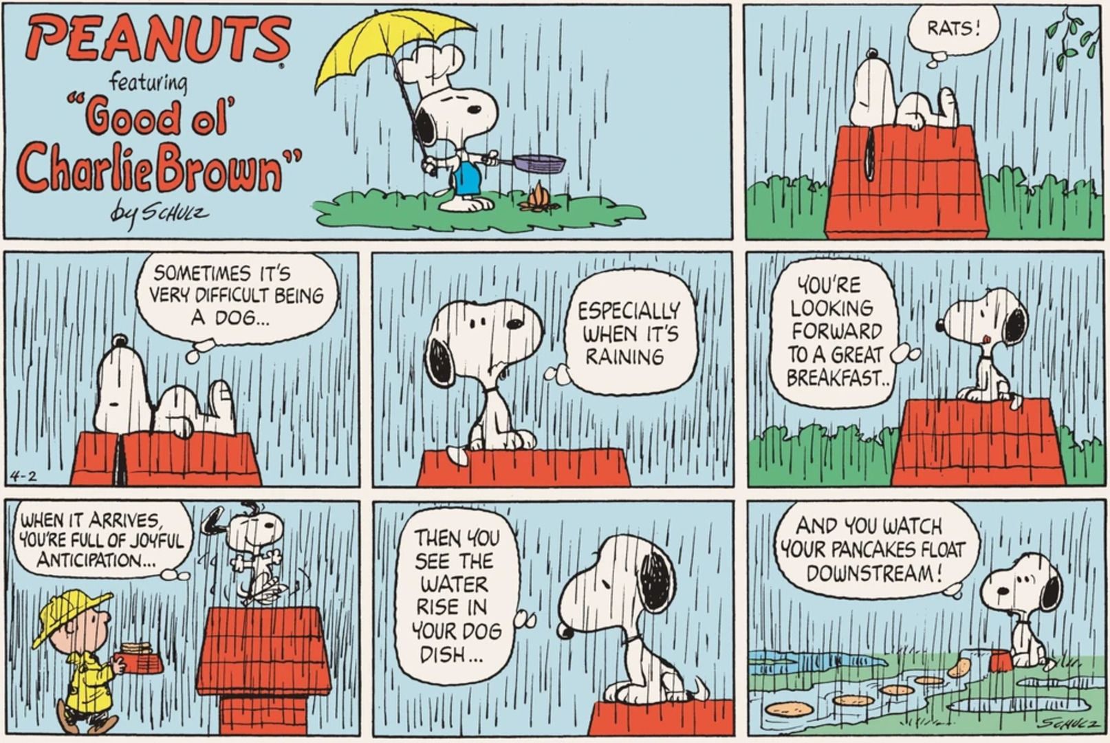 Snoopy food getting washed away in the rain.