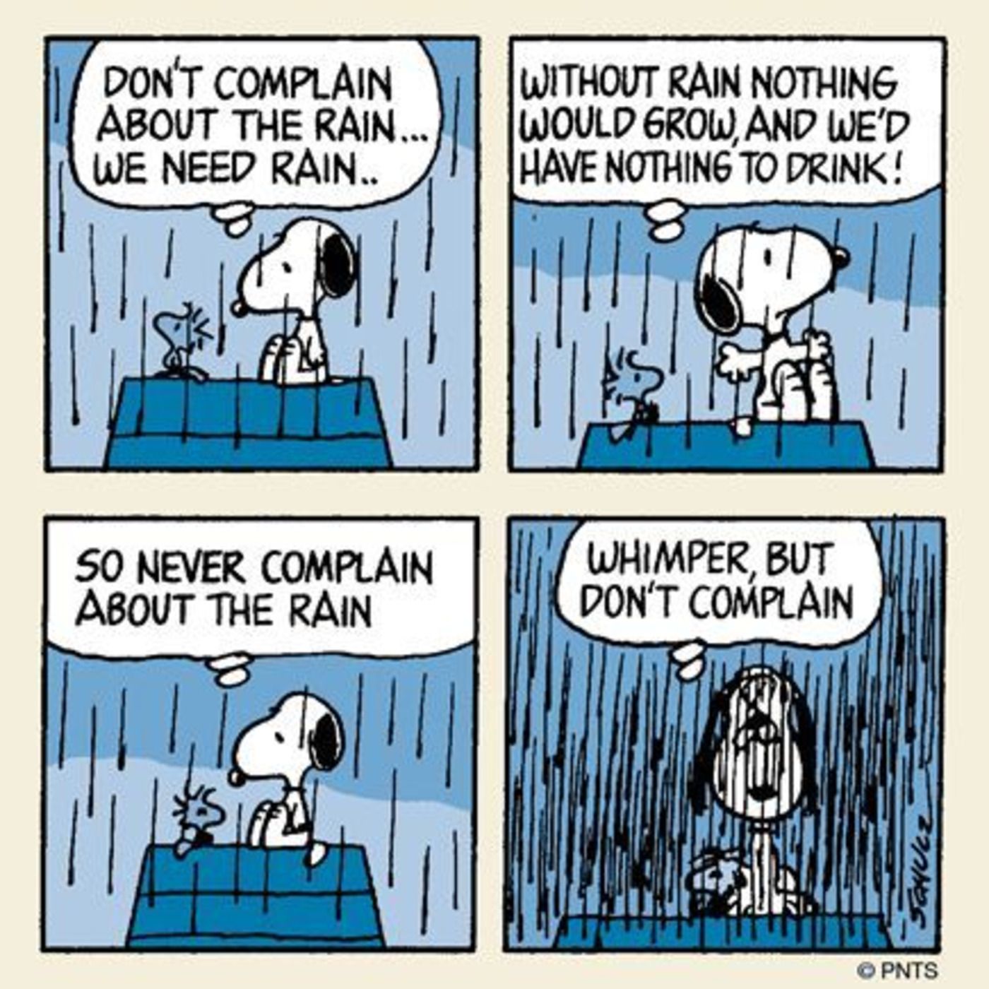 Snoopy typing on his doghouse in the rain.