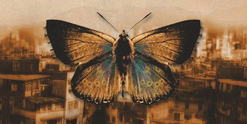 The Slakemoth from the cover of Perdido Street Station by China Mieville