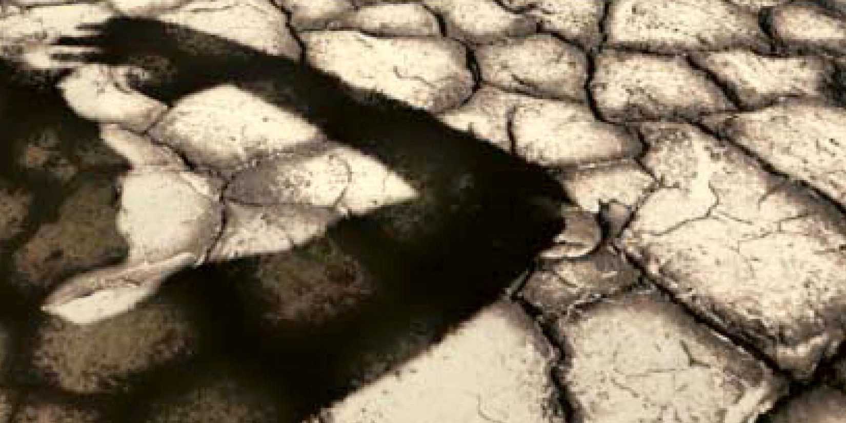 Heat-cracked dirt and a man's shadow from the cover of Oryx and Crake