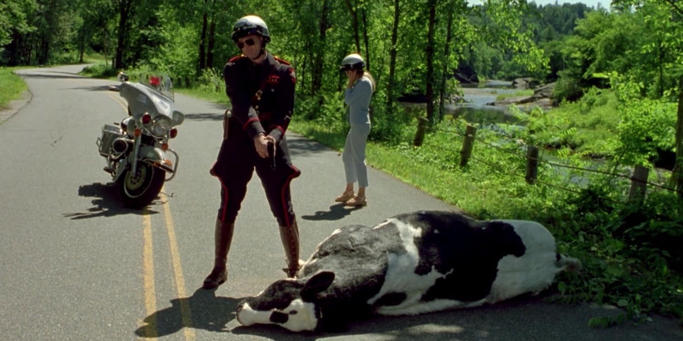 The cow killing scene in Me, Myself and Irene
