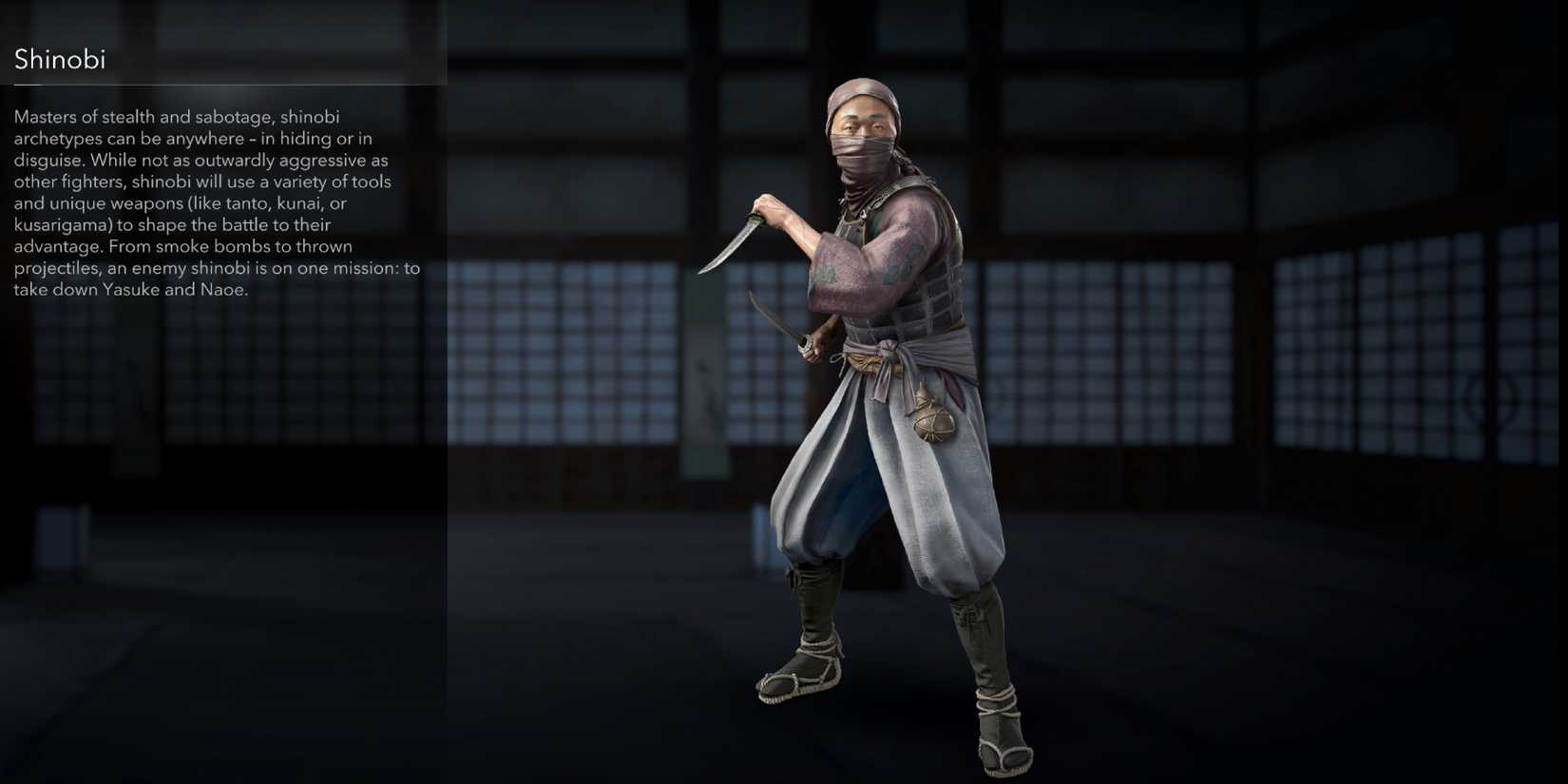 The Shinobi Enemy Type in Assassin's Creed Shadows
