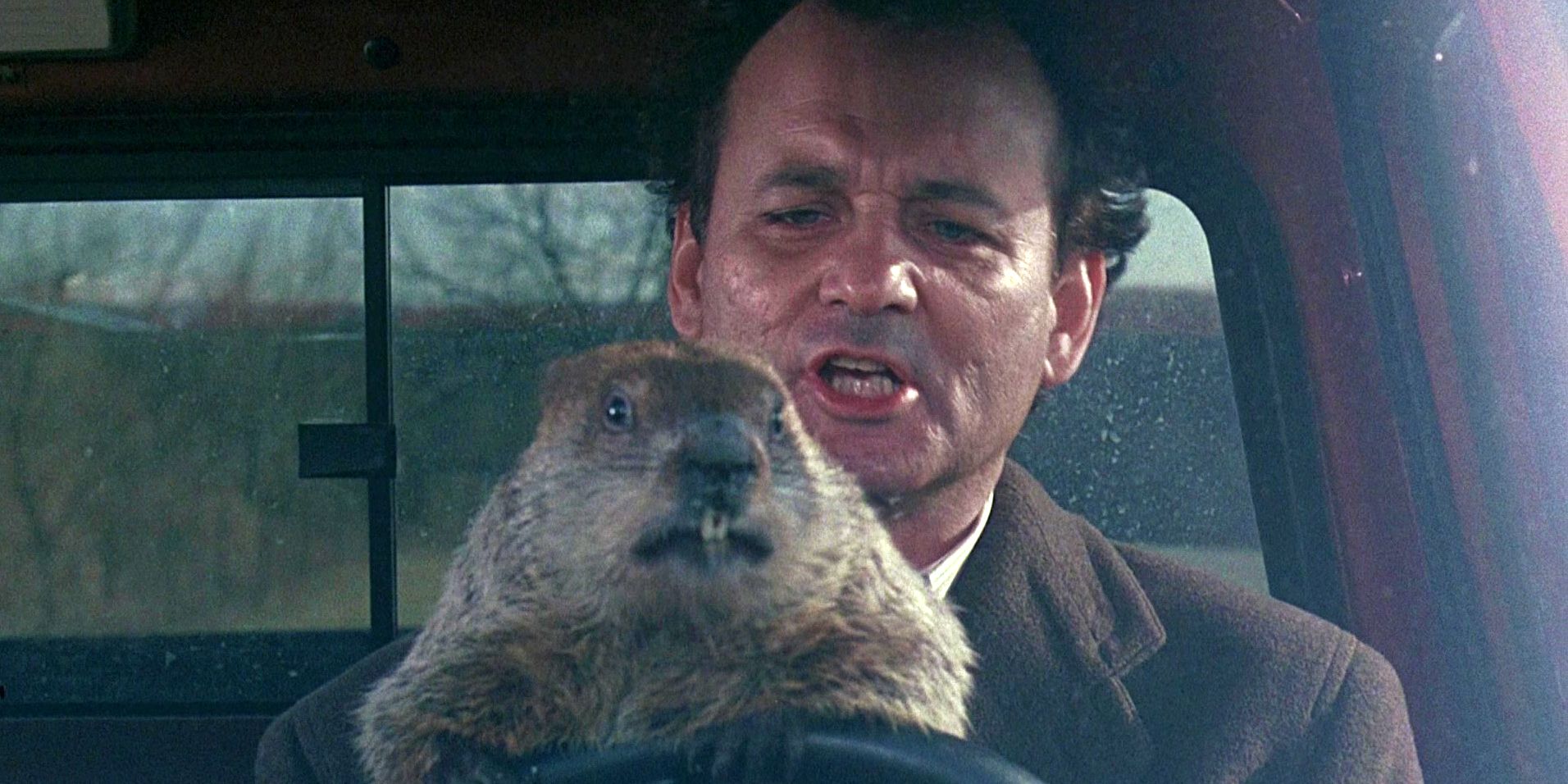 Bill Murray talking to the Groundhog as it drives a car in Groundhog Day