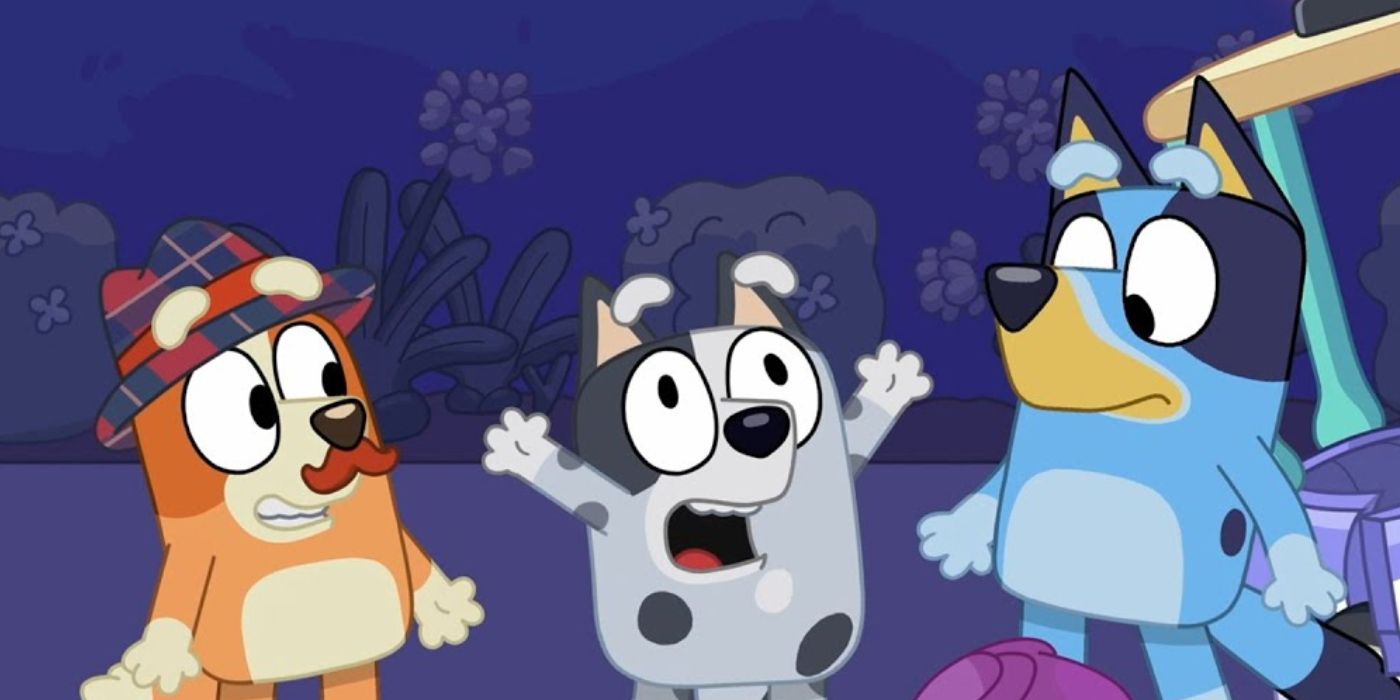 Bluey The Sleepover