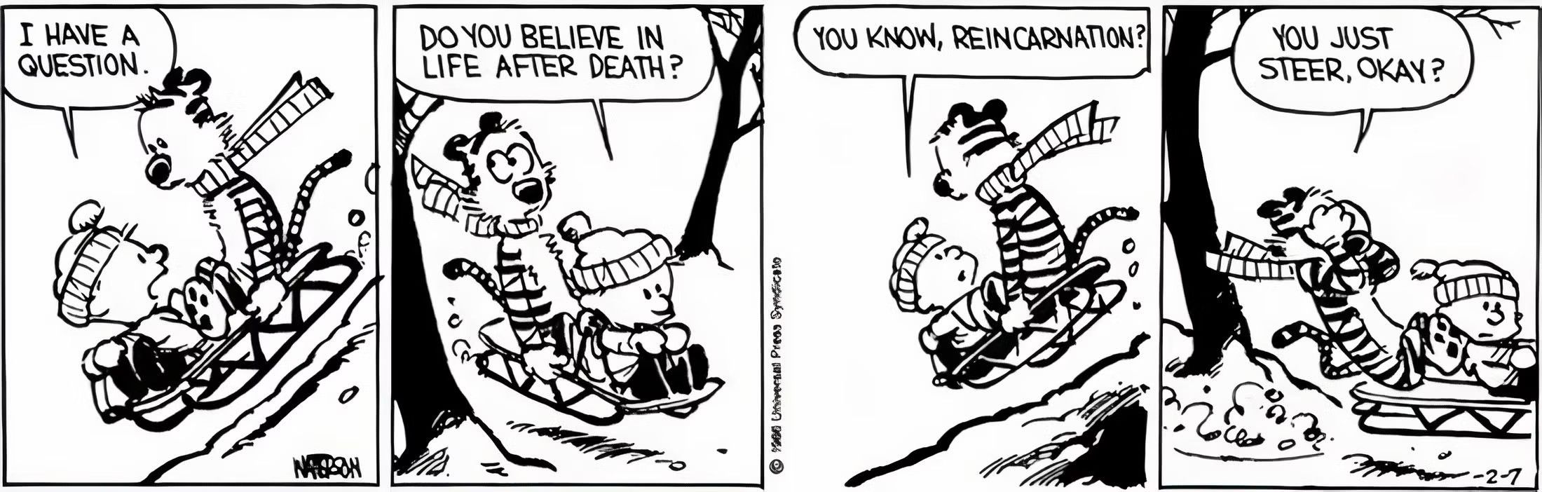 Calvin and Hobbes, Calvin asks if Hobbes believes in reincarnation but Hobbes just tells him to steer their sled
