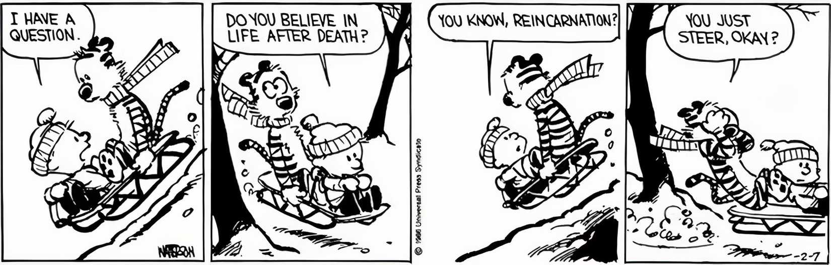 Calvin and Hobbes, Calvin asks if Hobbes believes in reincarnation but Hobbes just tells him to steer their sled