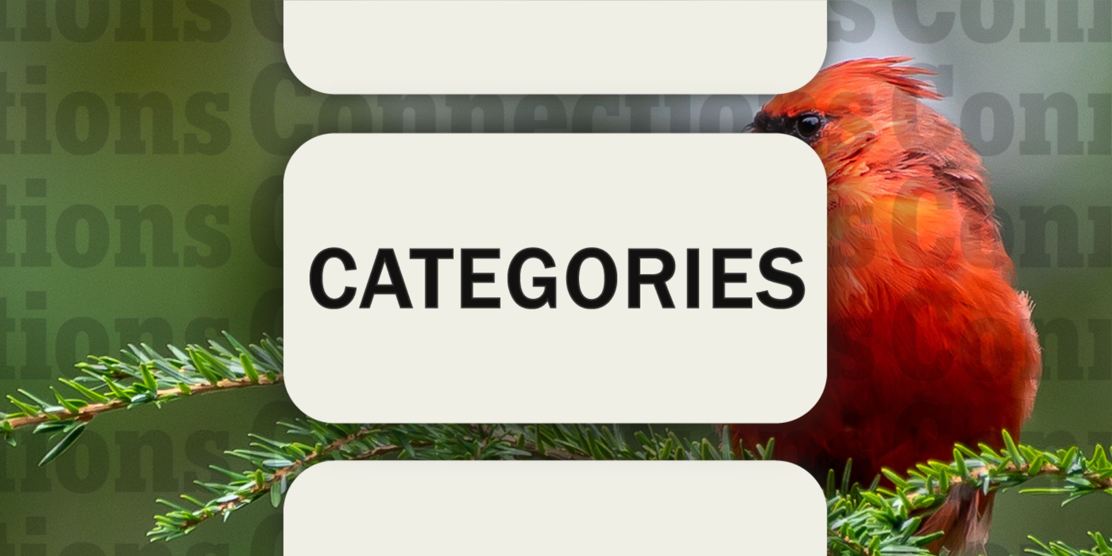 Cardinal in Connections Categories March 12