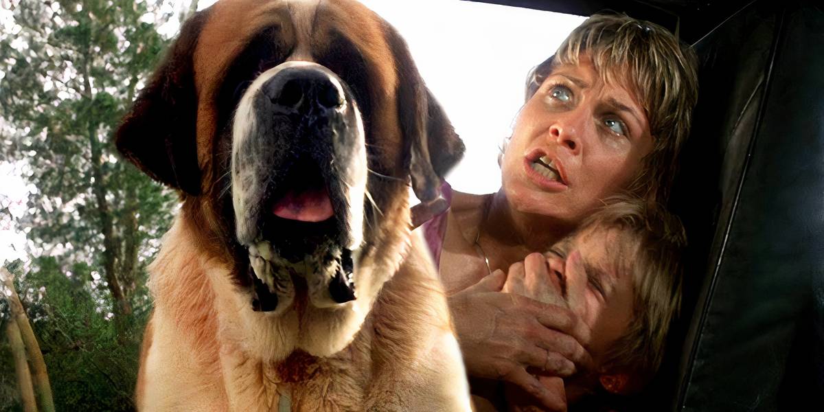 Iconic Stephen King Story Getting New Adaptation At Netflix After '80s Movie Changed Its Dark Ending