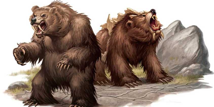 D&D 2024 Made My Party's Favorite Druid Subclass So Much Worse - D&D art of the Cave Bear monster