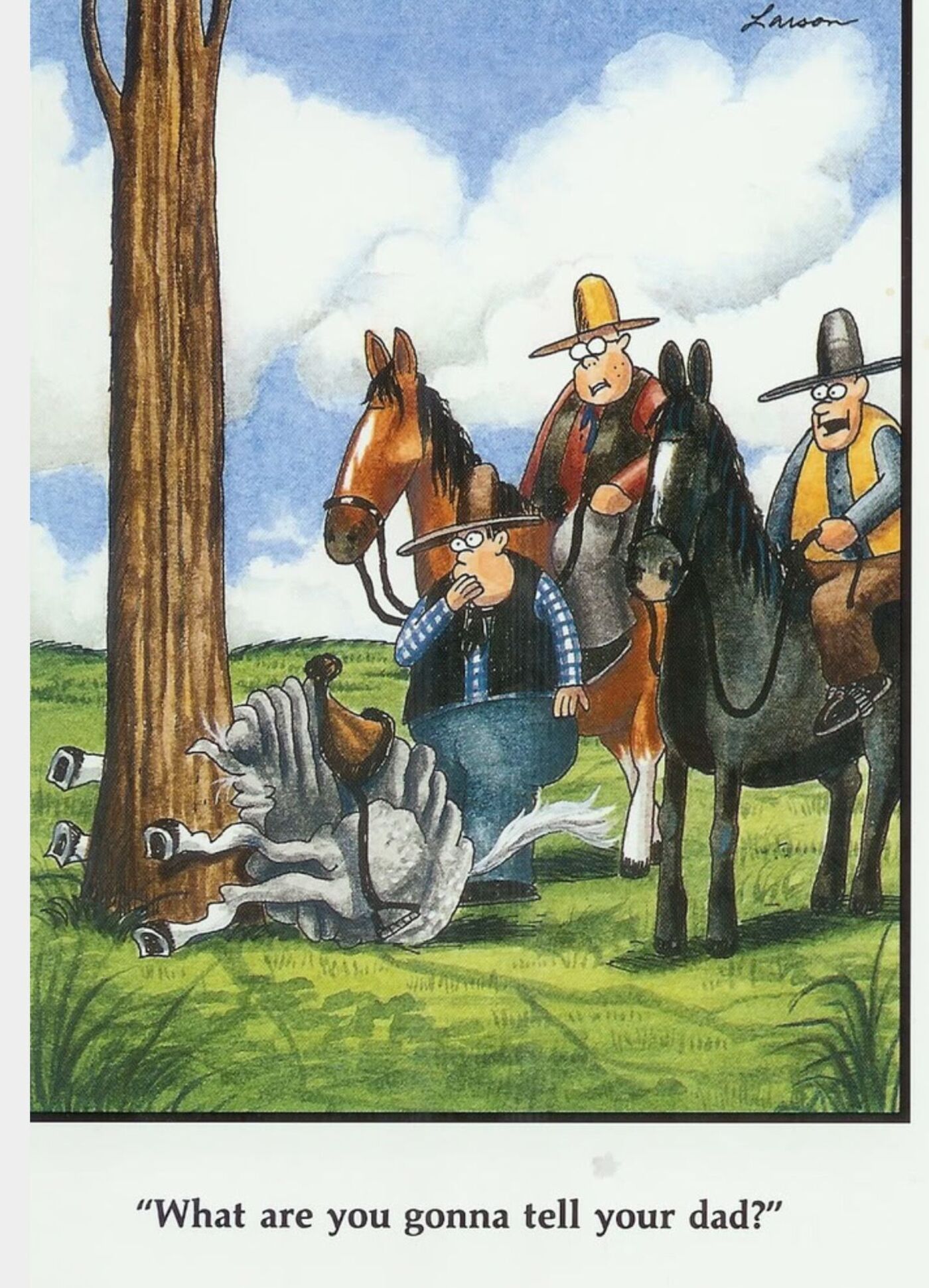 Far Side, A cowboy who crashed his horse into a tree.