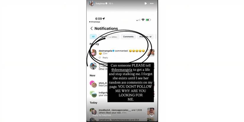 Daniele Gates in 90 Day Fiance on Instagram accusing Angela Deem of stalking