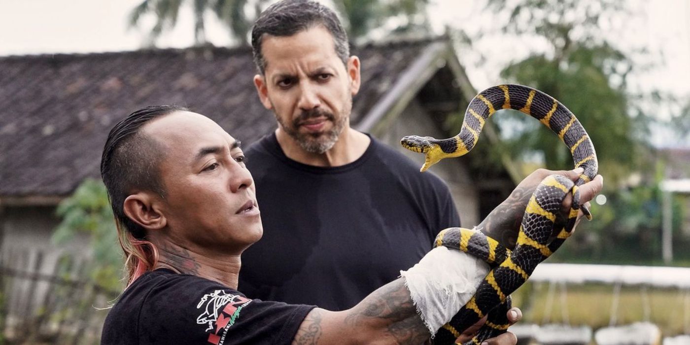 david blaine_ do not attempt watching a snake charmer