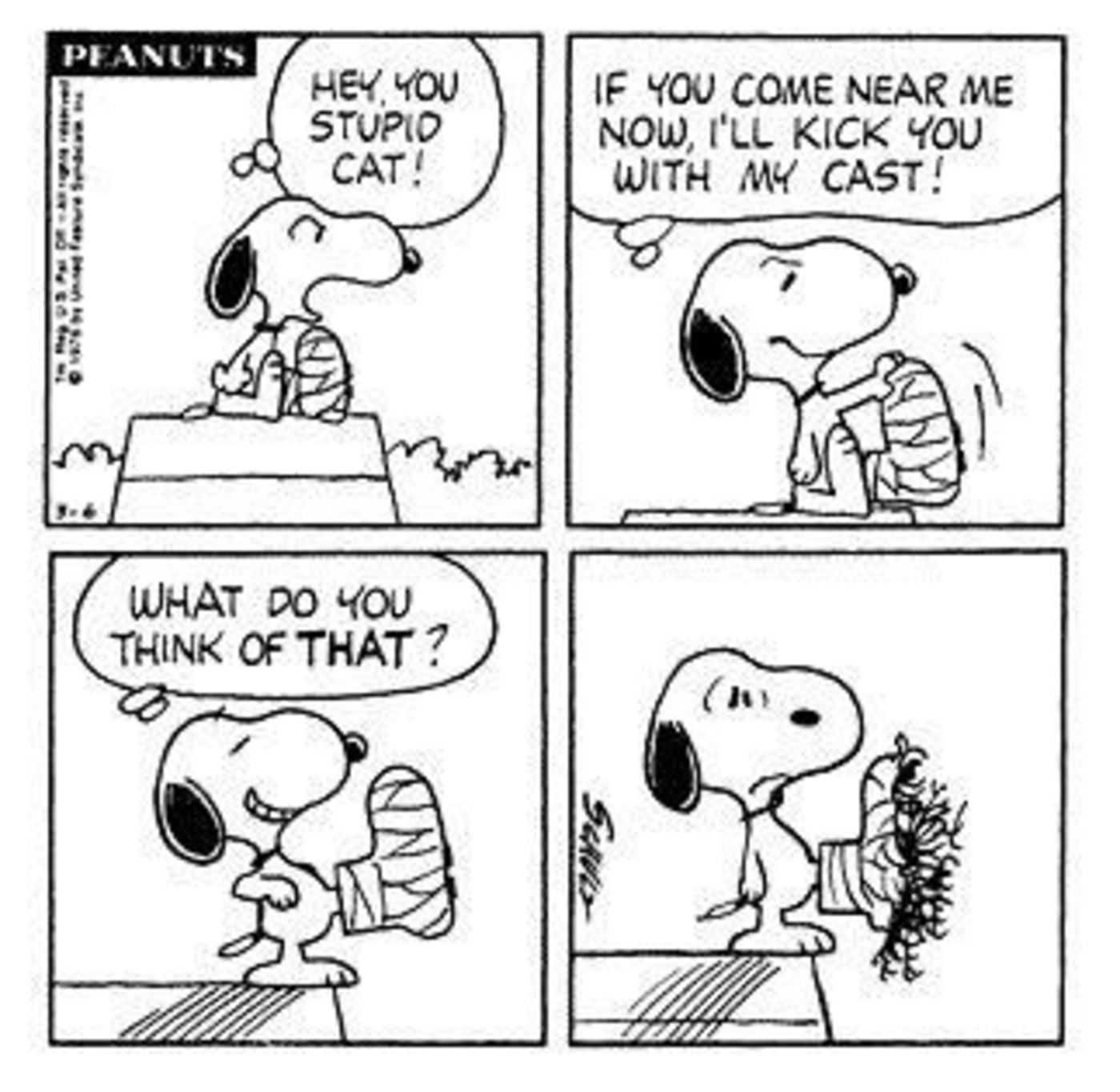 Snoopy getting his cast shredded.