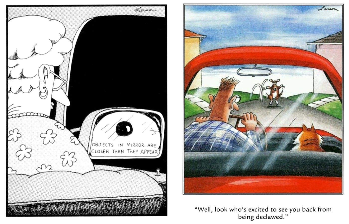 far side car mirrors