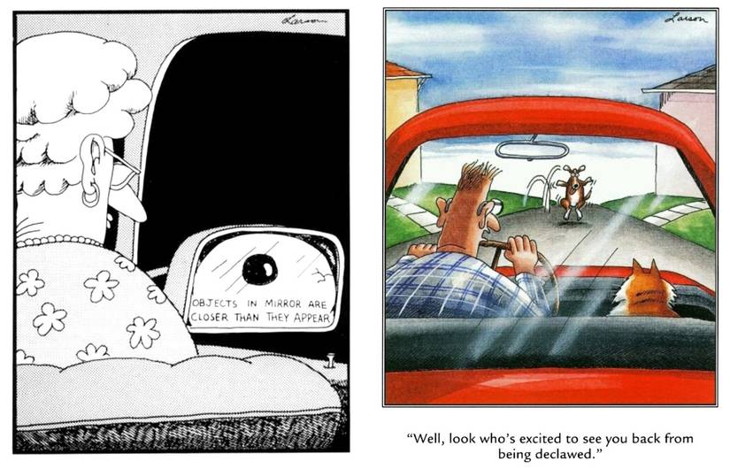 far side car mirrors