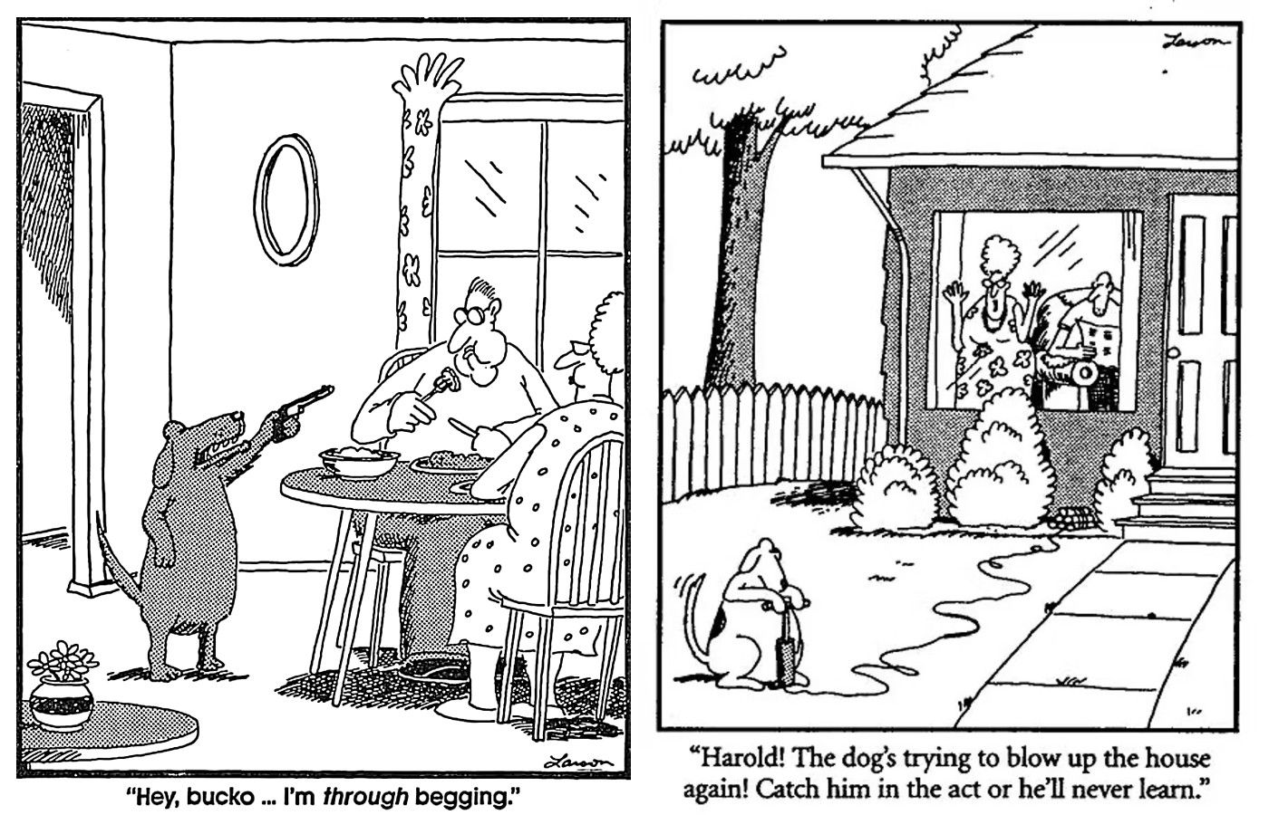 far side dangerous dogs