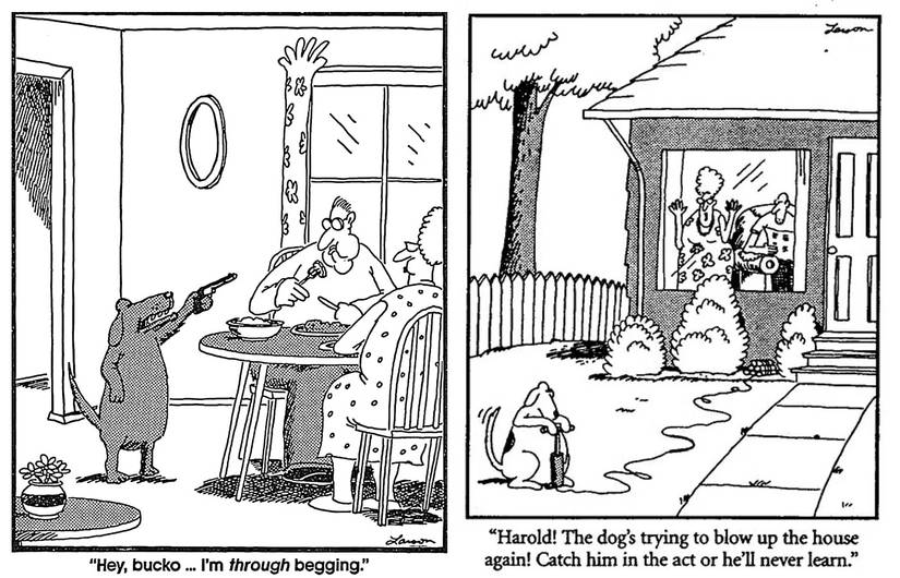 far side dangerous dogs