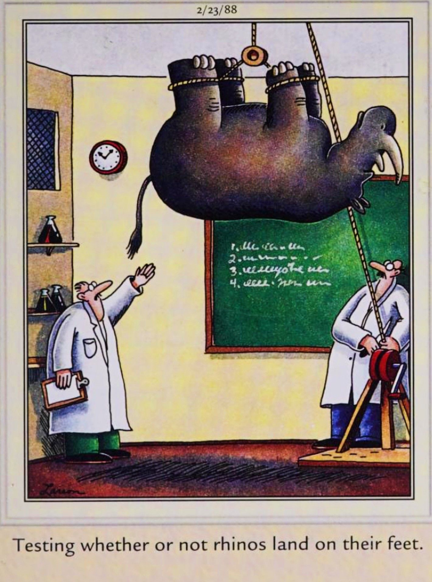 Far Side, February 23, 1988, scientists testing whether a rhino always lands on its feet