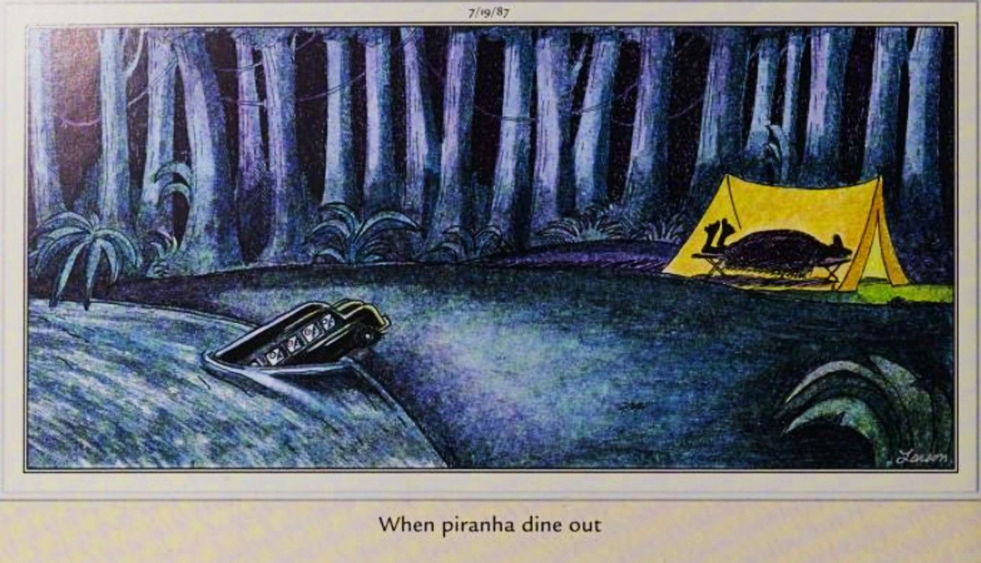 Far Side, July 19, 1987, pirhana drive a bus out of the river toward a human&rsquo;s tent