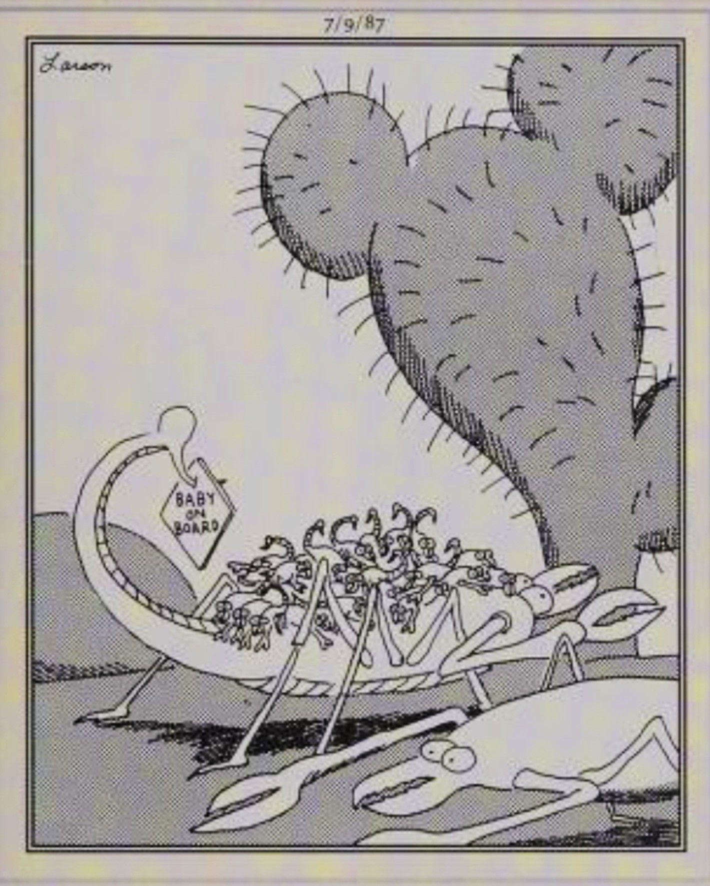 Far Side, July 9, 1987, a scorpion with a bunch of babies on its back and a &lsquo;baby on board&rsquo; sign hanging from its tail