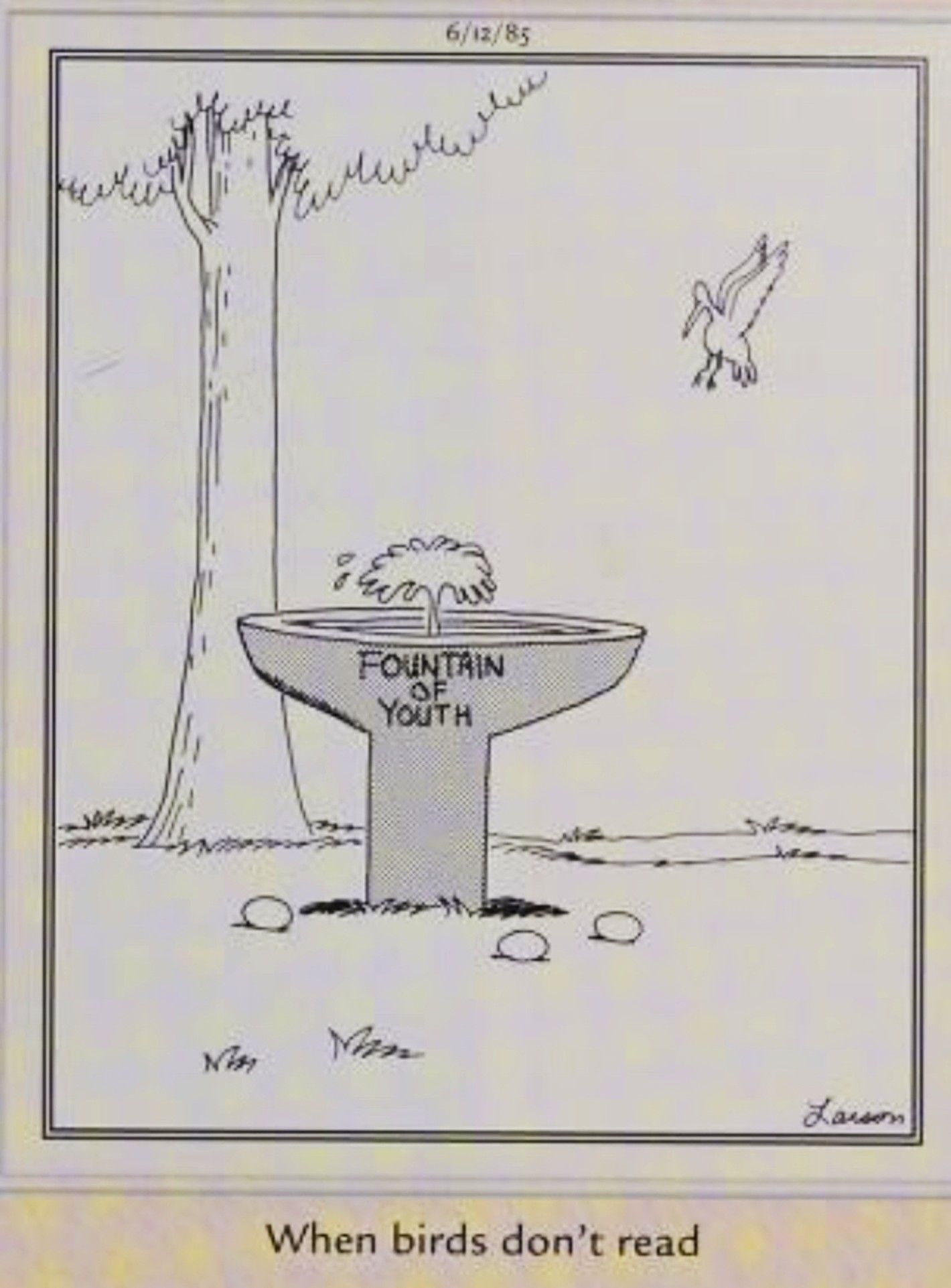Far Side, June 12, 1985, depicting what happens when birds drink from the fountain of youth