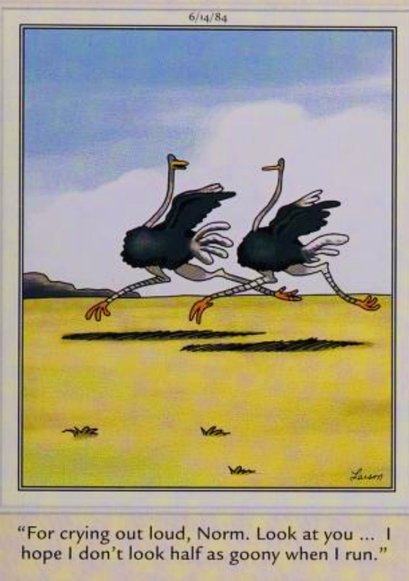 Far Side, June 14, 1984, an ostrich realizes how &lsquo;goony&rsquo; they look when they run
