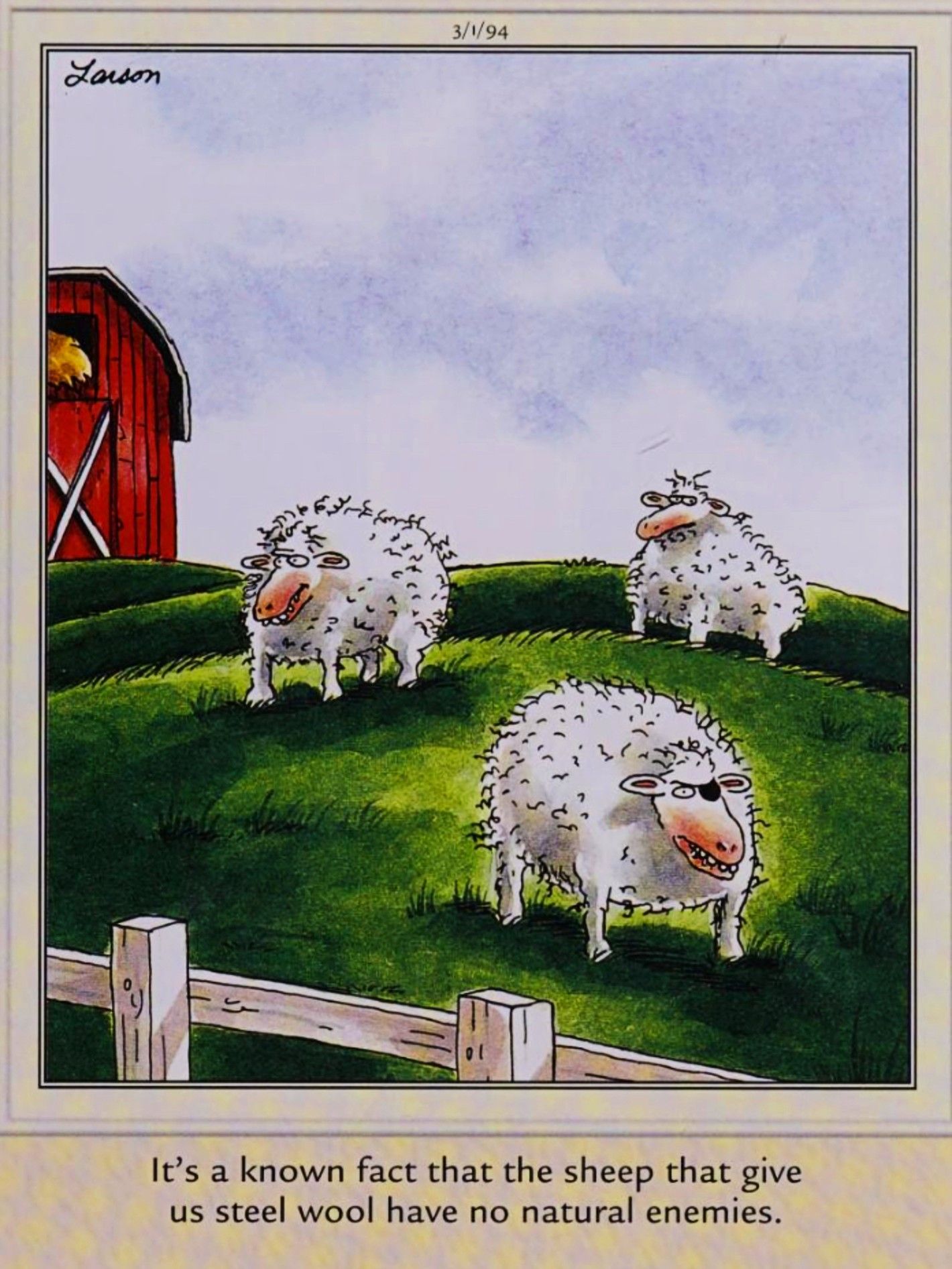 Far Side, March 1, 1994, depicting the sheep that steel wool come from