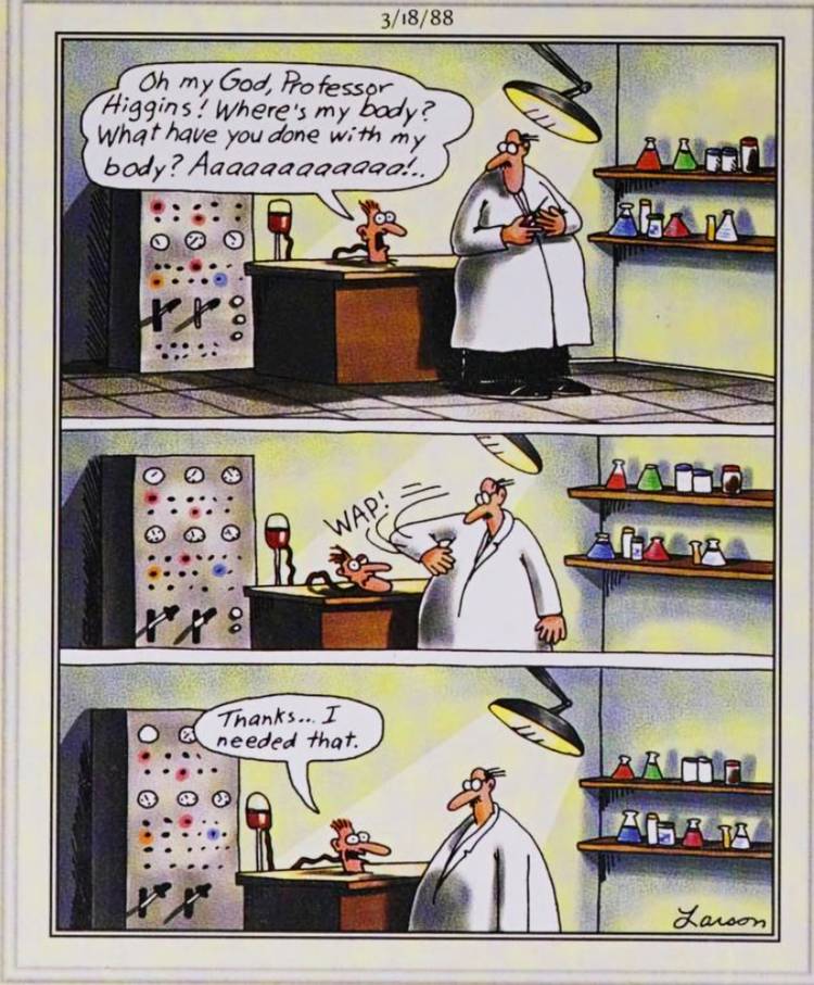 Far Side, March 18, 1988, a scientist bonks his disembodied head