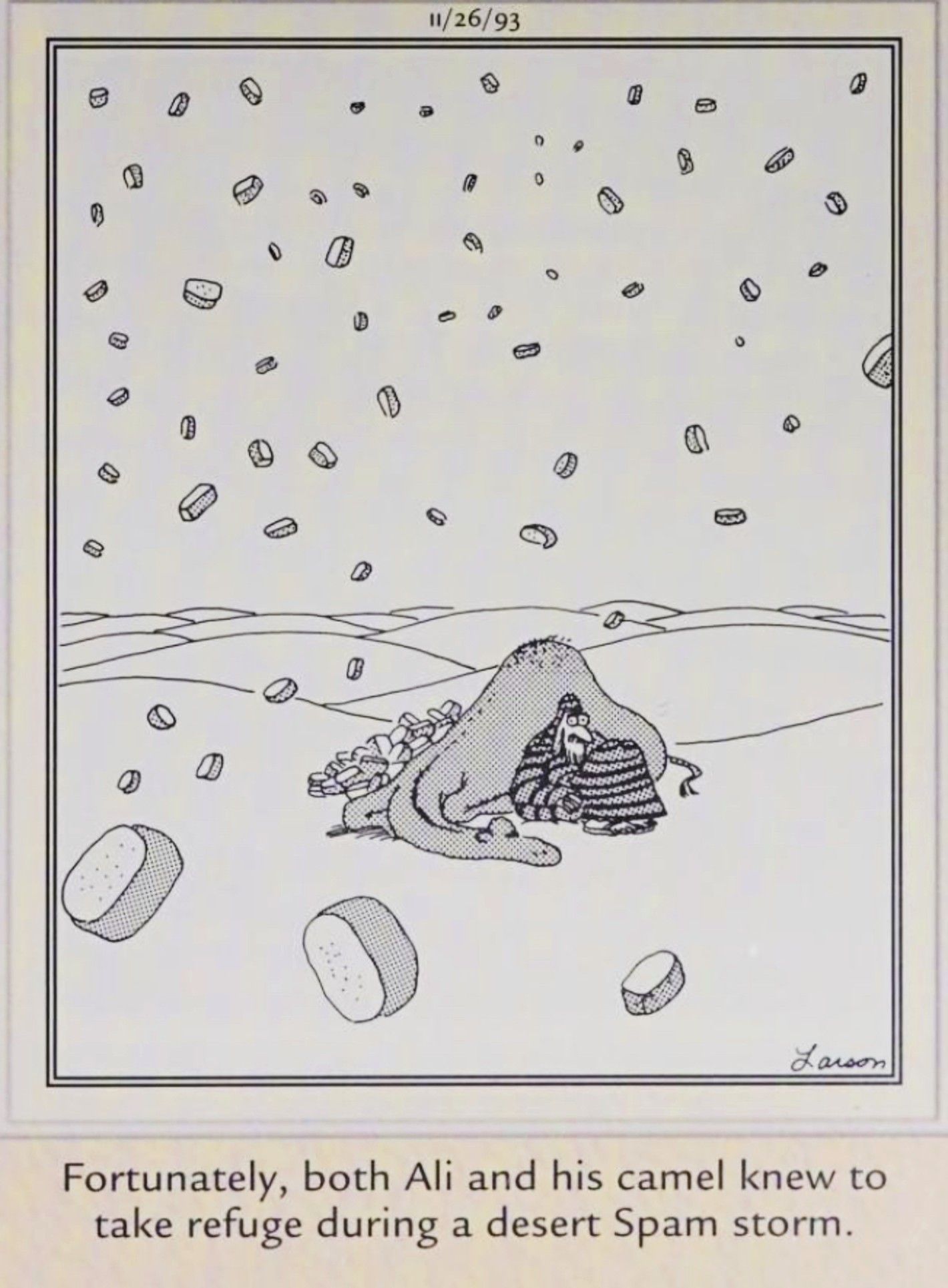 Far Side, November 26, 1993, &lsquo;Ali and his camel&rsquo; take shelter from a &lsquo;spam shower&rsquo;