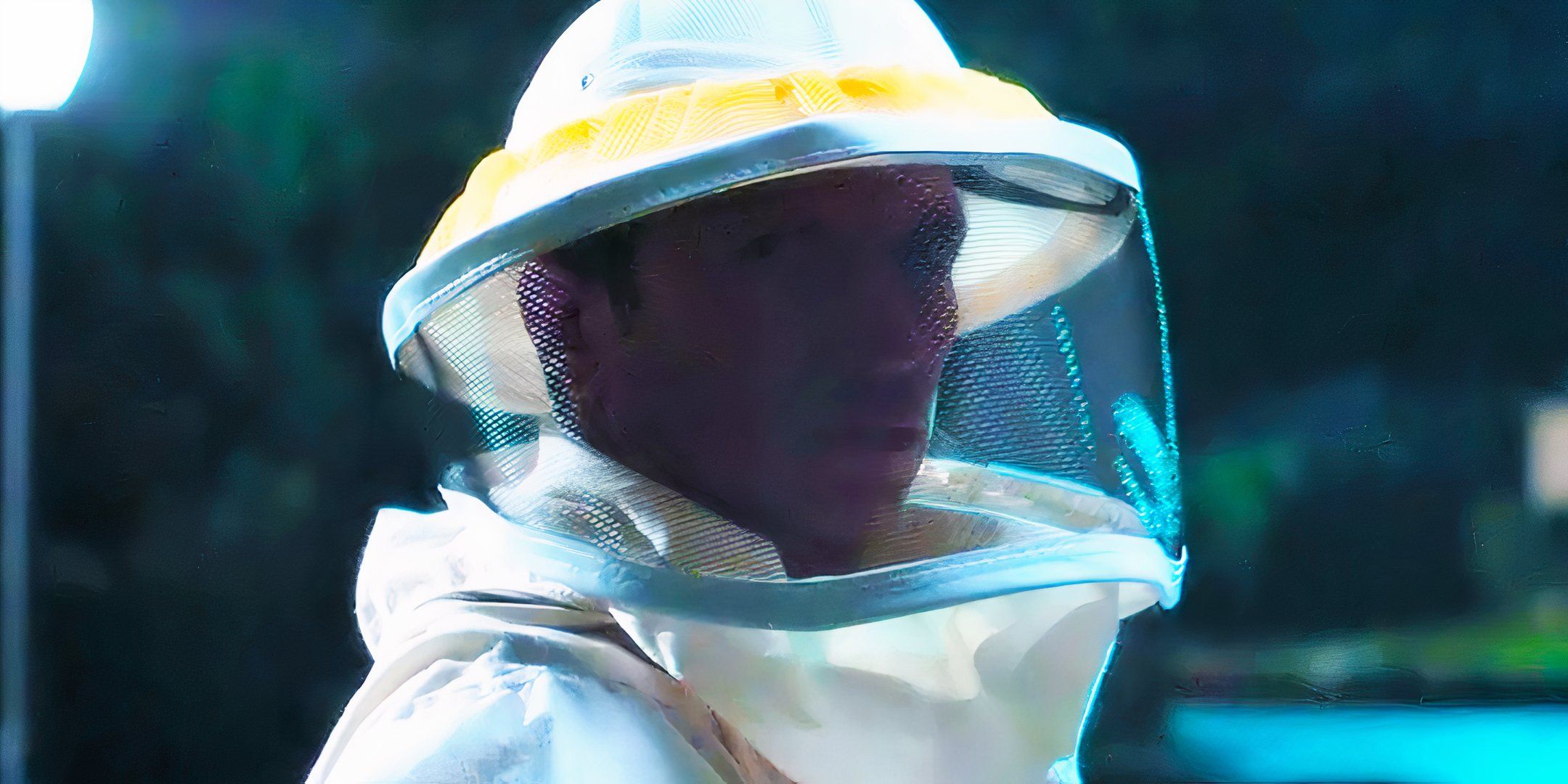 Franklin as a beekeeper in WandaVision