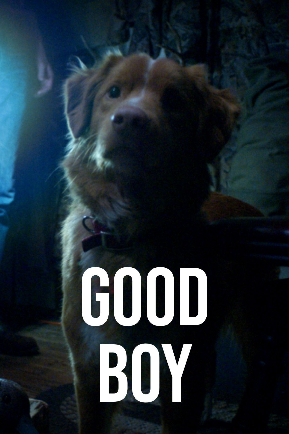 Good Boy placeholder poster