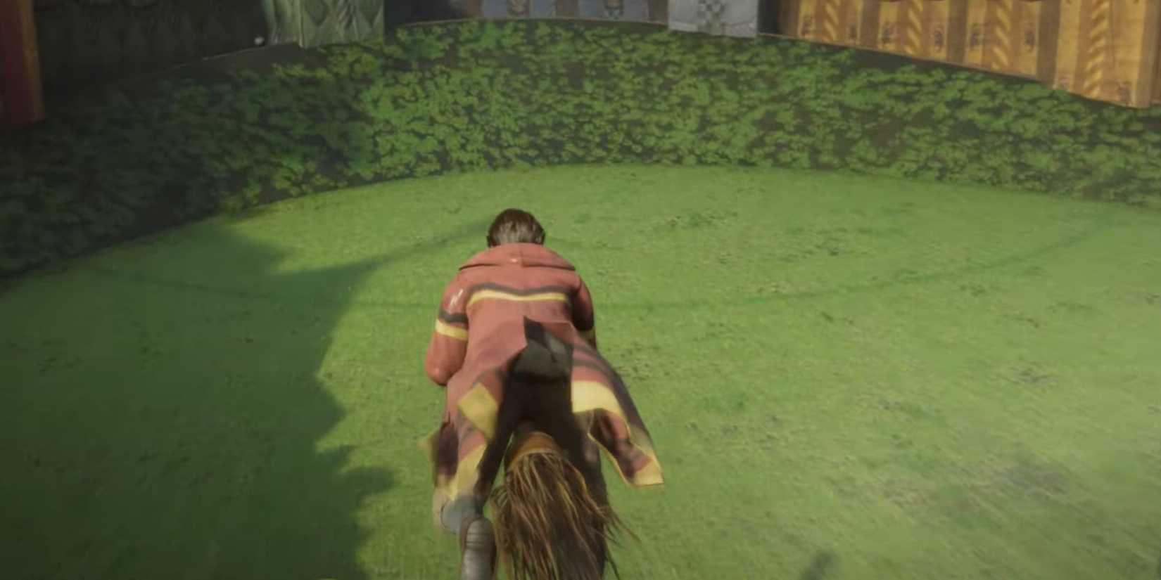 It would be nice if Hogwarts Legacy added Quidditch