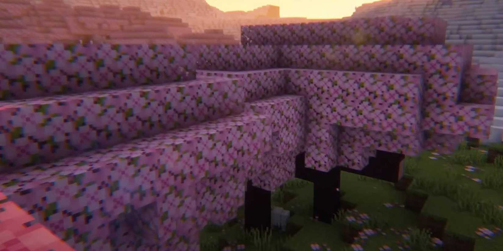Minecraft Small Cherry Forest Cherry Blossom world seed