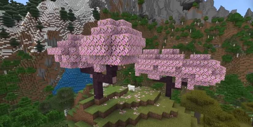 Minecraft Two Cherries in a Sea of Green Cherry Blossom world seed