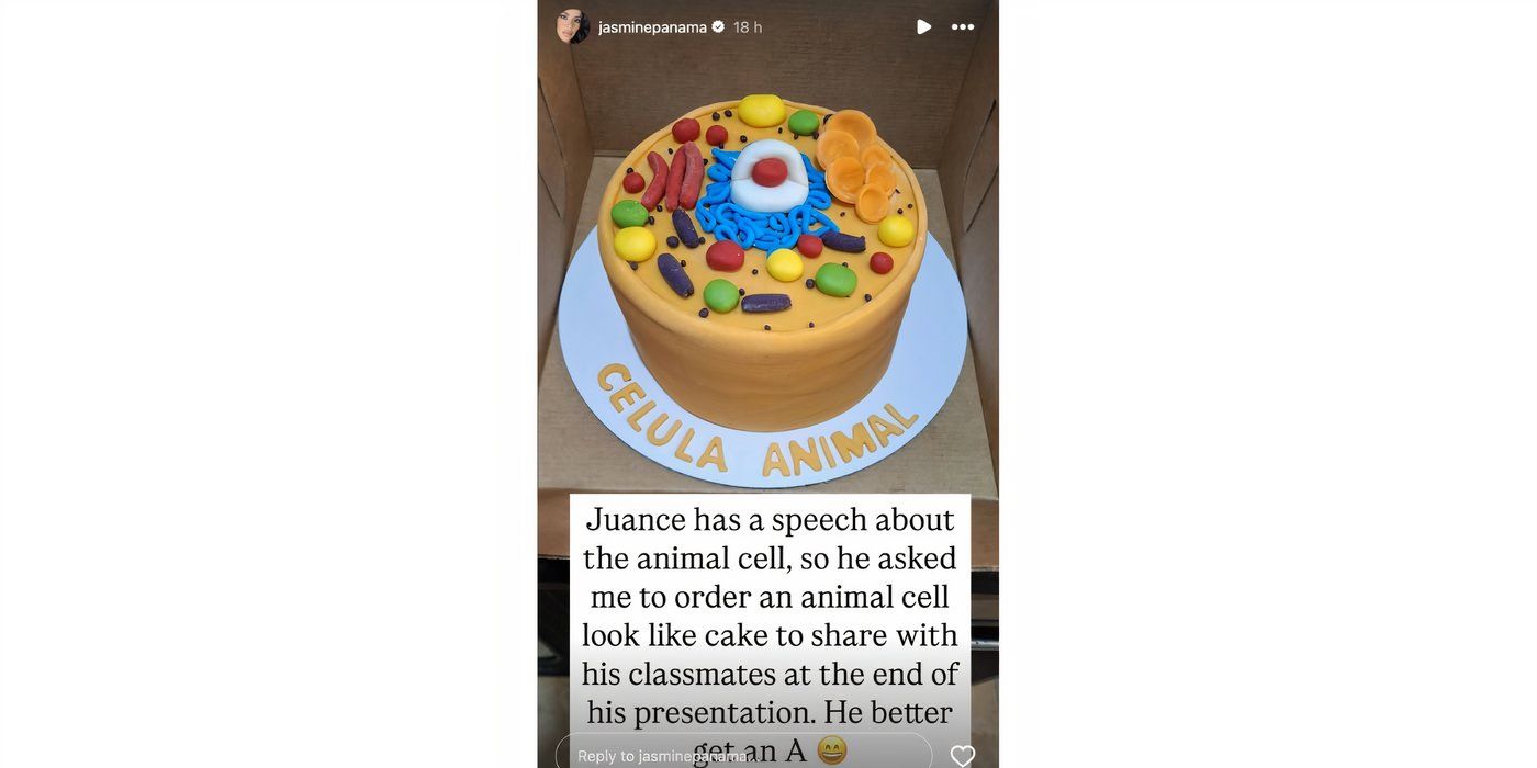 Jasmine Pineda in 90 Day Fiance cake for son on Instagram Stories
