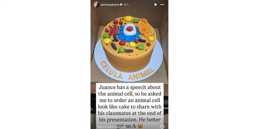 Jasmine Pineda in 90 Day Fiance cake for son on Instagram Stories