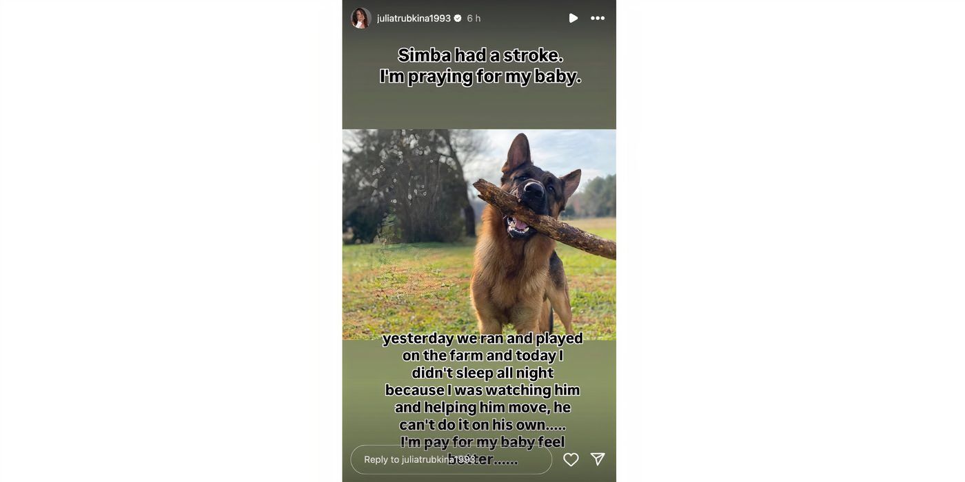 Julia trubkina in 90 Day Fiance on Instagram Stories