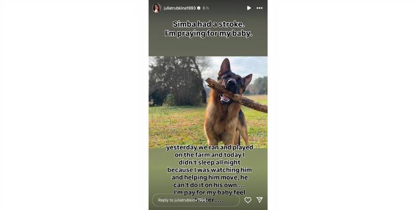 Julia trubkina in 90 Day Fiance on Instagram Stories