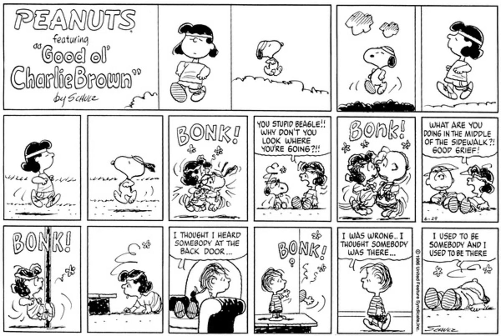 Lucy jogging and bumping into everything.