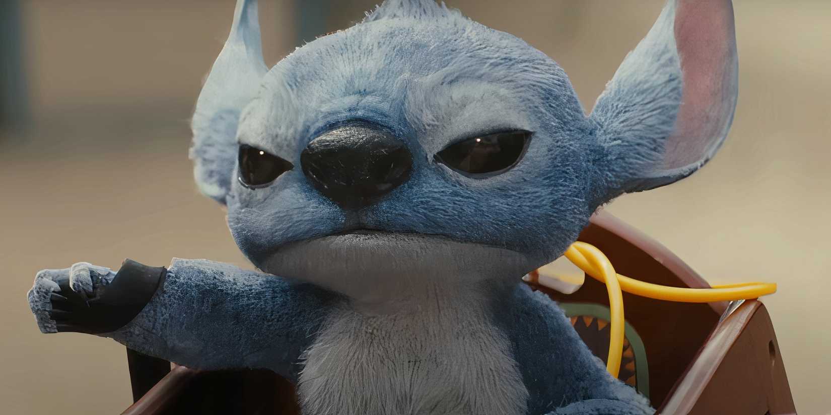 2025’s First Major Box Office Showdown Is Approaching, And A Tracking ...