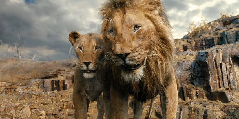Masego and Afia smiling down at the watering hole in Mufasa: The Lion King (2024)