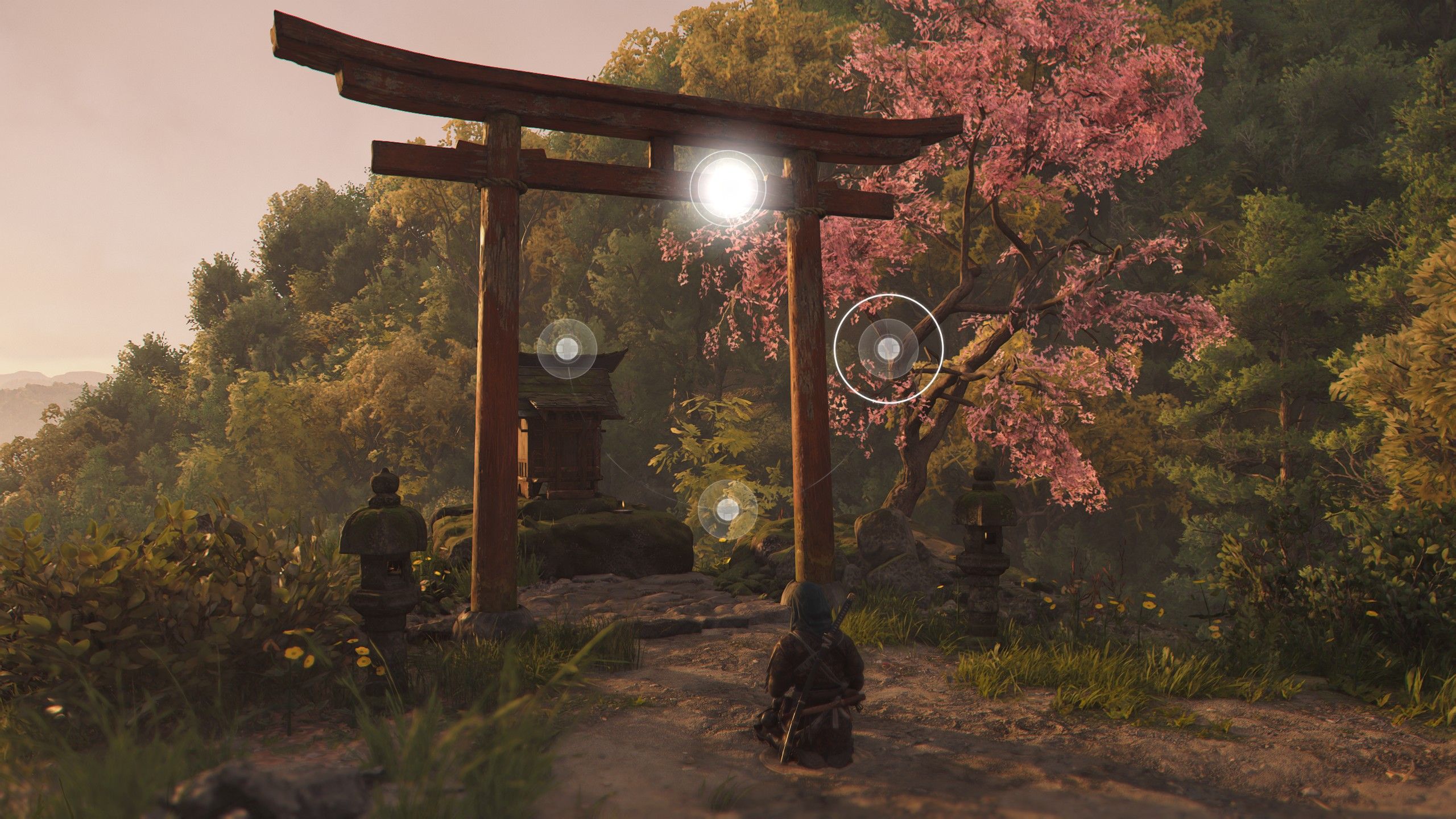 Naoe practices Kata-kiri by a Tori gate at dusk in Assassins Creed Shadows