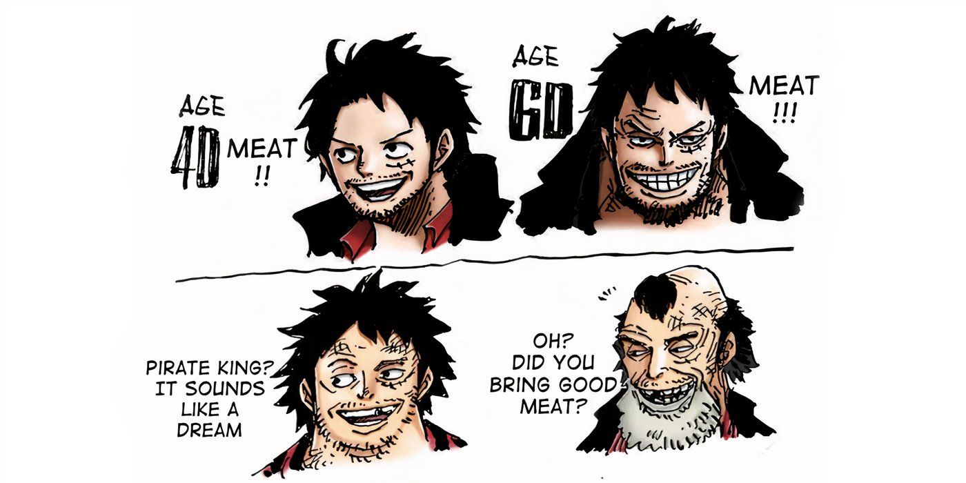 One Piece Luffy Future Appearance