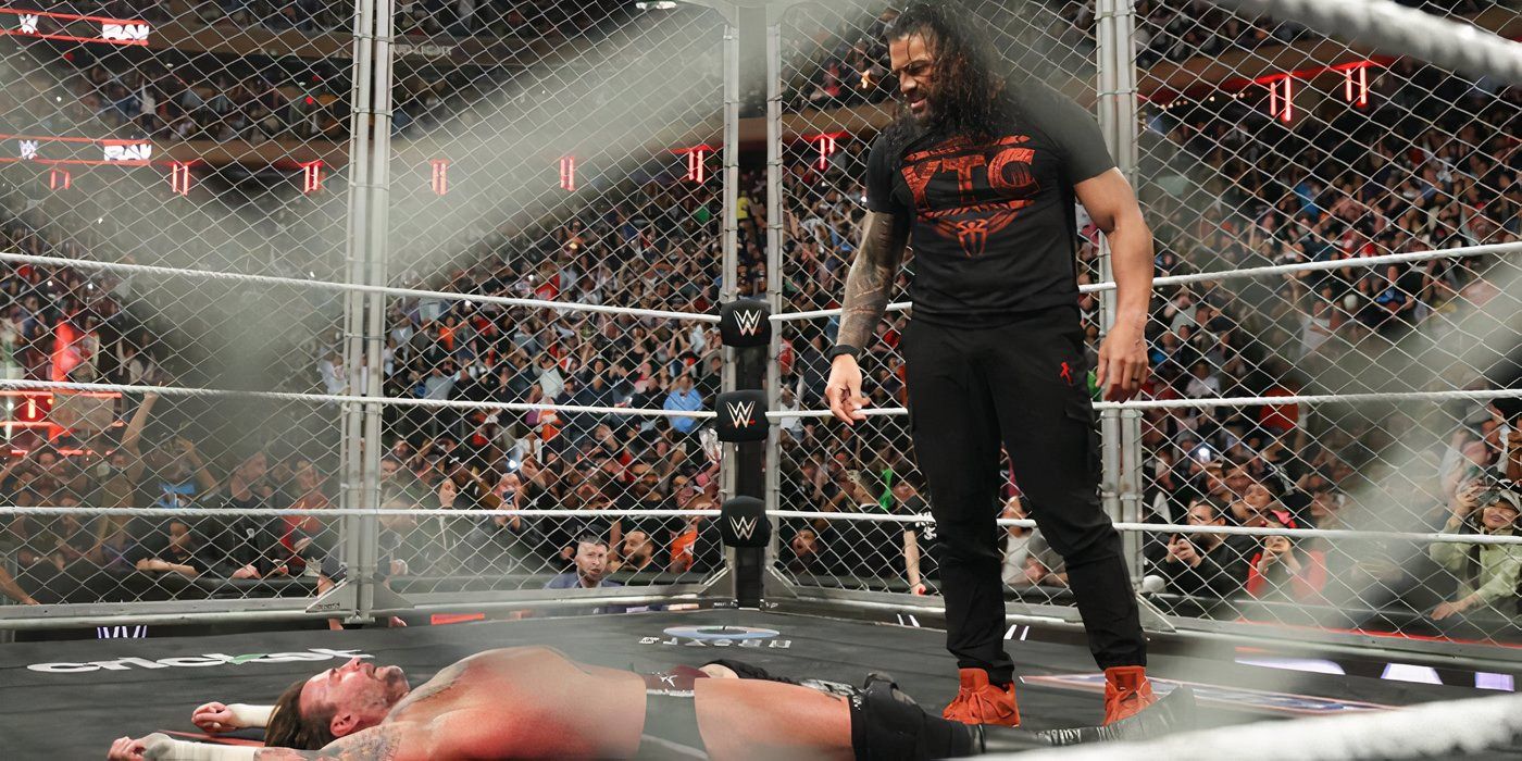 Roman-Reigns-CM-Punk-WWE