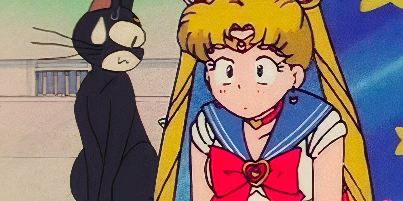 A frustrated Luna stares at a completely clueless Sailor Moon.