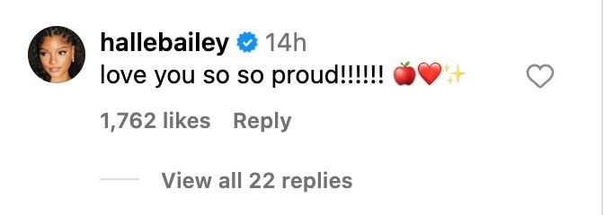 Halle Bailey comment on Rachel Zegler's Instagram post